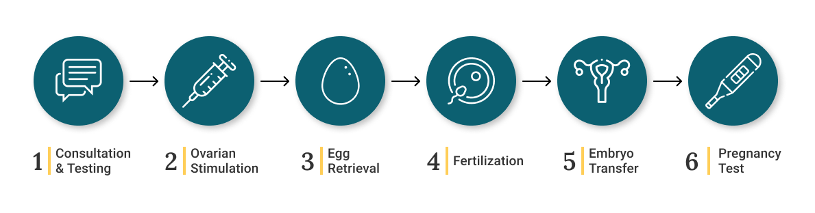 In Vitro Fertilization (IVF): The Ultimate Guide | PFCLA