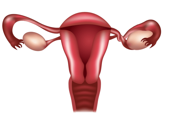 what is ovarian torsion