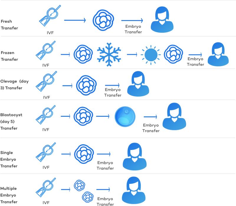 types-of-embryo-transfers