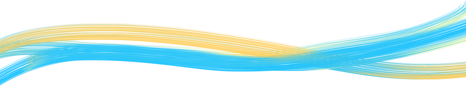 cropped-belt