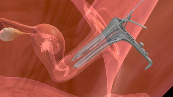 embryo-transfer-procedure