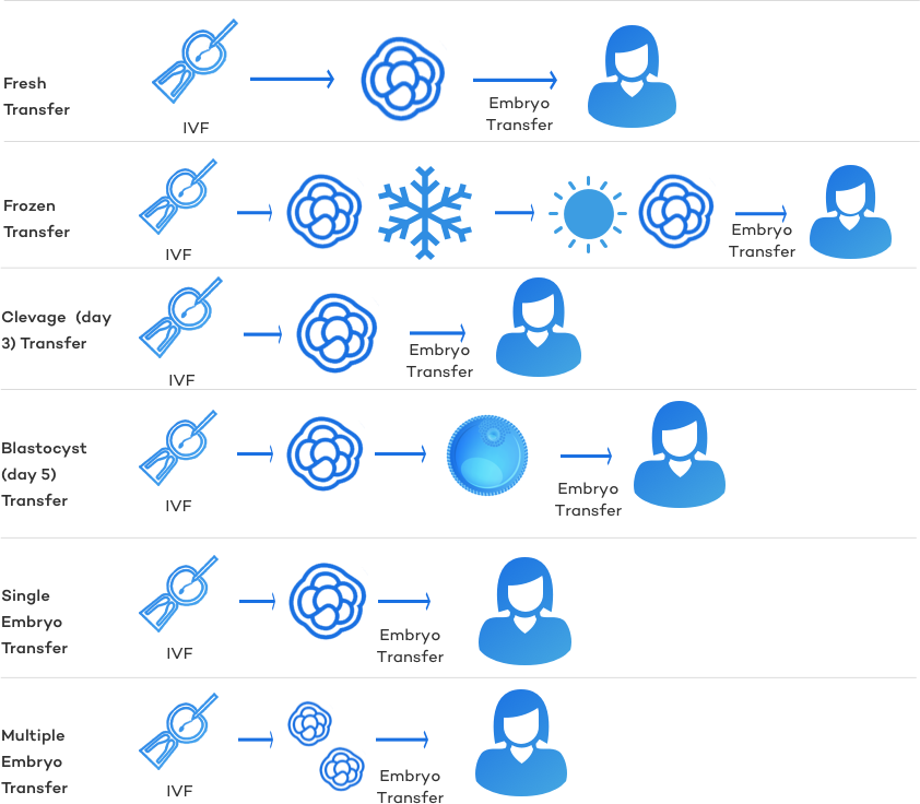 types-of-embryo-transfers