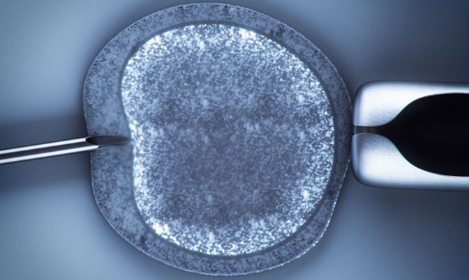 frozen embryo transfer protocol